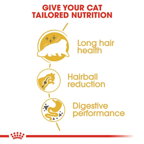 Royal Canin Persian Adult Dry Cat Food - Image 3