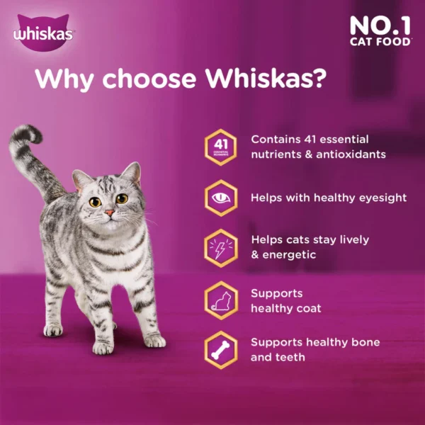 Whiskas Ocean Fish Dry Food For Adult Cat - Image 4