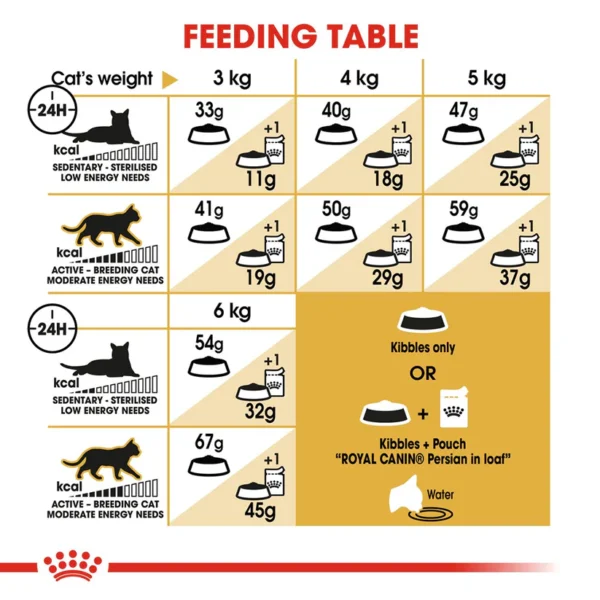 Royal Canin Persian Adult Dry Cat Food - Image 5