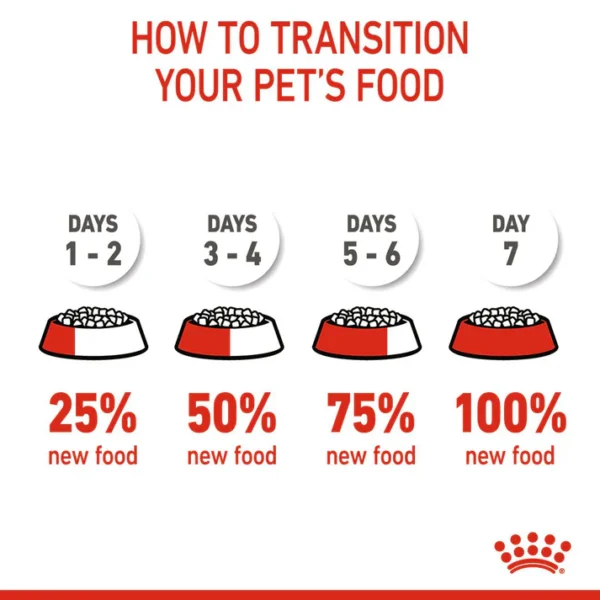 Royal Canin Kitten Dry Cat Food - Image 2