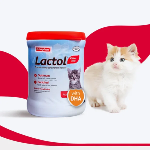 Beaphar Lactol Milk Replacement Powder Dry Food For New Born Kitten - Image 2