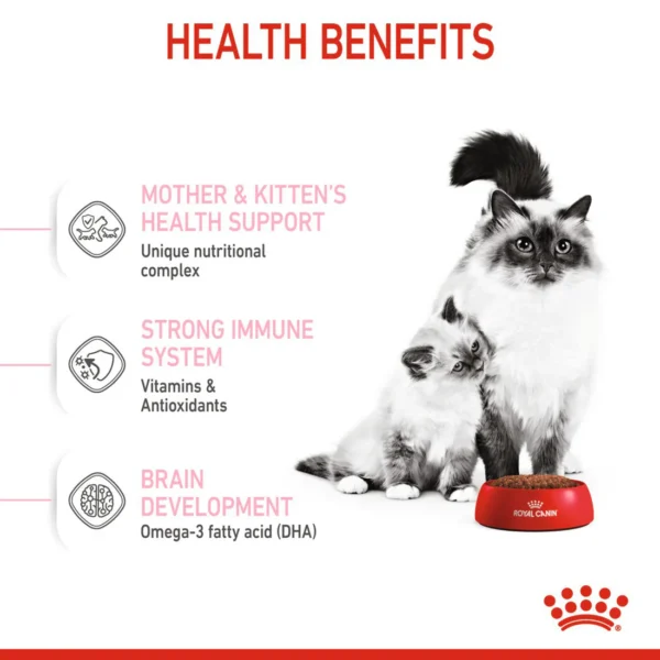 Royal Canin Mother And Babycat Dry Cat Food - Image 3