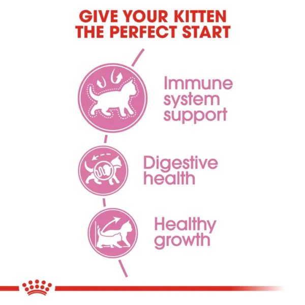Royal Canin Kitten Dry Cat Food - Image 4
