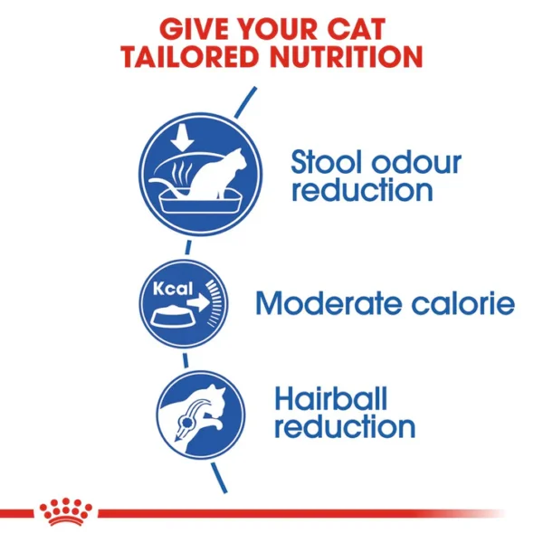 Royal Canin Home Life Indoor 27 Dry Cat Food - 2 kg - Image 3
