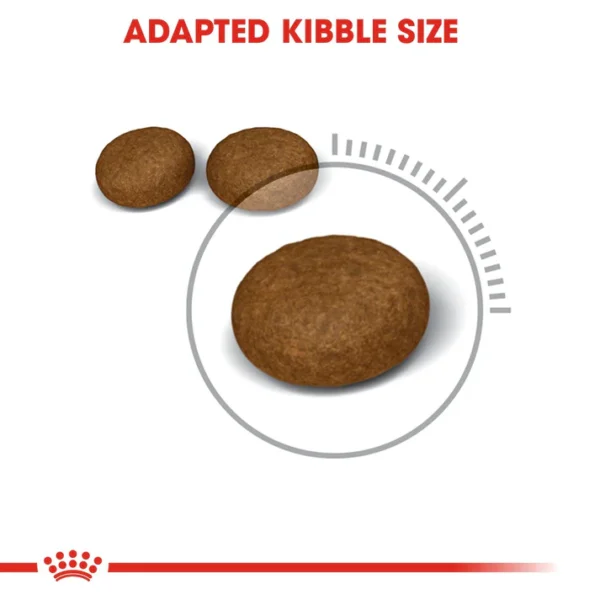 Royal Canin Hair & Skin Care Dry Cat Food - Image 3