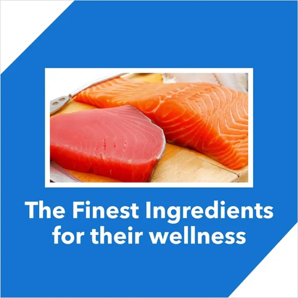 Drools Tuna And Salmon Adult Cat Food - 7 kg - Image 3