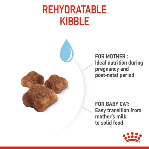 Royal Canin Mother And Babycat Dry Cat Food - Image 4