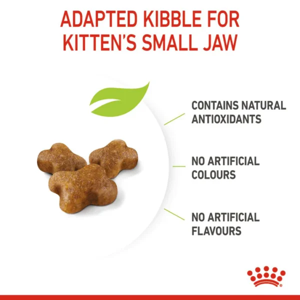 Royal Canin Kitten Dry Cat Food - Image 5