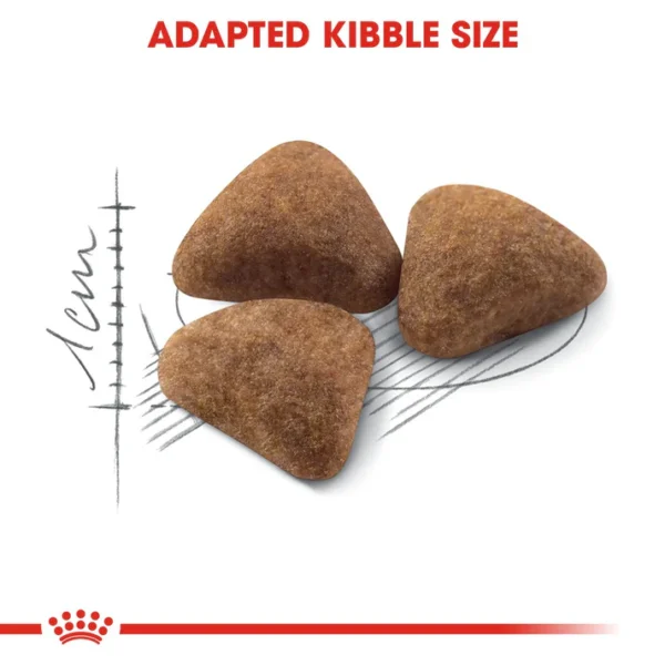 Royal Canin Home Life Indoor 27 Dry Cat Food - 2 kg - Image 4