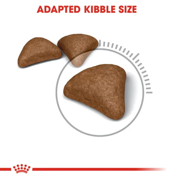 Royal Canin Hairball Care Dry Cat Food - Image 4