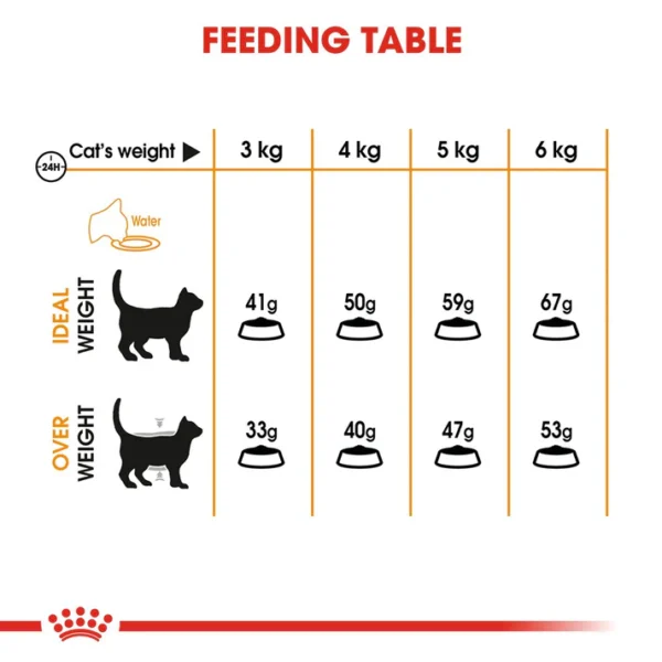 Royal Canin Hair & Skin Care Dry Cat Food - Image 4