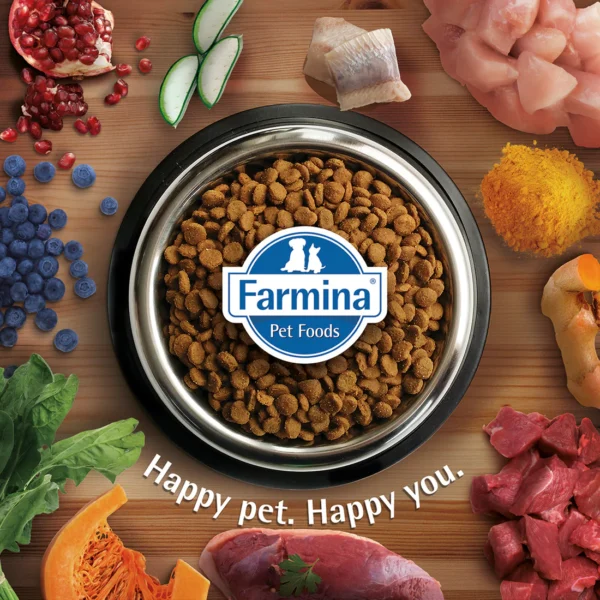 Farmina N&D Quinoa Weight Management Grain Free Cat Dry Food - Lamb, Broccoli & Asparagus - Image 4