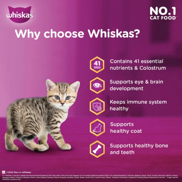 Whiskas Ocean Fish Dry Food For Mother & Baby(Kitten) - Image 4