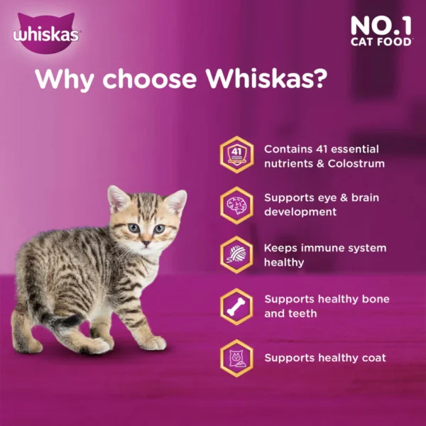 Whiskas Mackerel Flavour Dry Food For (2-12 Months) Kitten - Image 4