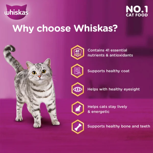 Whiskas Chicken Dry Food For Adult Cat - Image 4