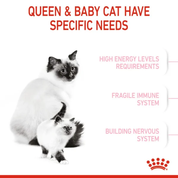 Royal Canin Mother And Babycat Dry Cat Food - Image 5