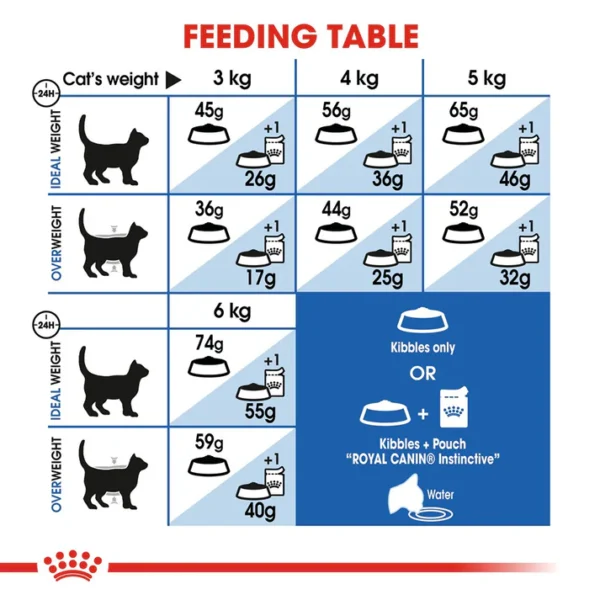 Royal Canin Home Life Indoor 27 Dry Cat Food - 2 kg - Image 5