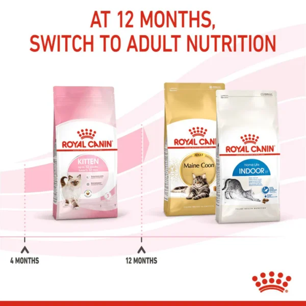 Royal Canin Kitten Dry Cat Food - Image 7