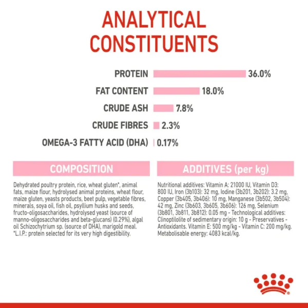 Royal Canin Kitten Dry Cat Food - Image 8